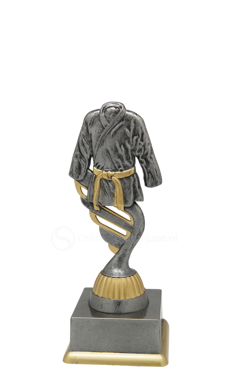 Vechtsporttrofee - SS1730 - Antiek Zilver / Goud