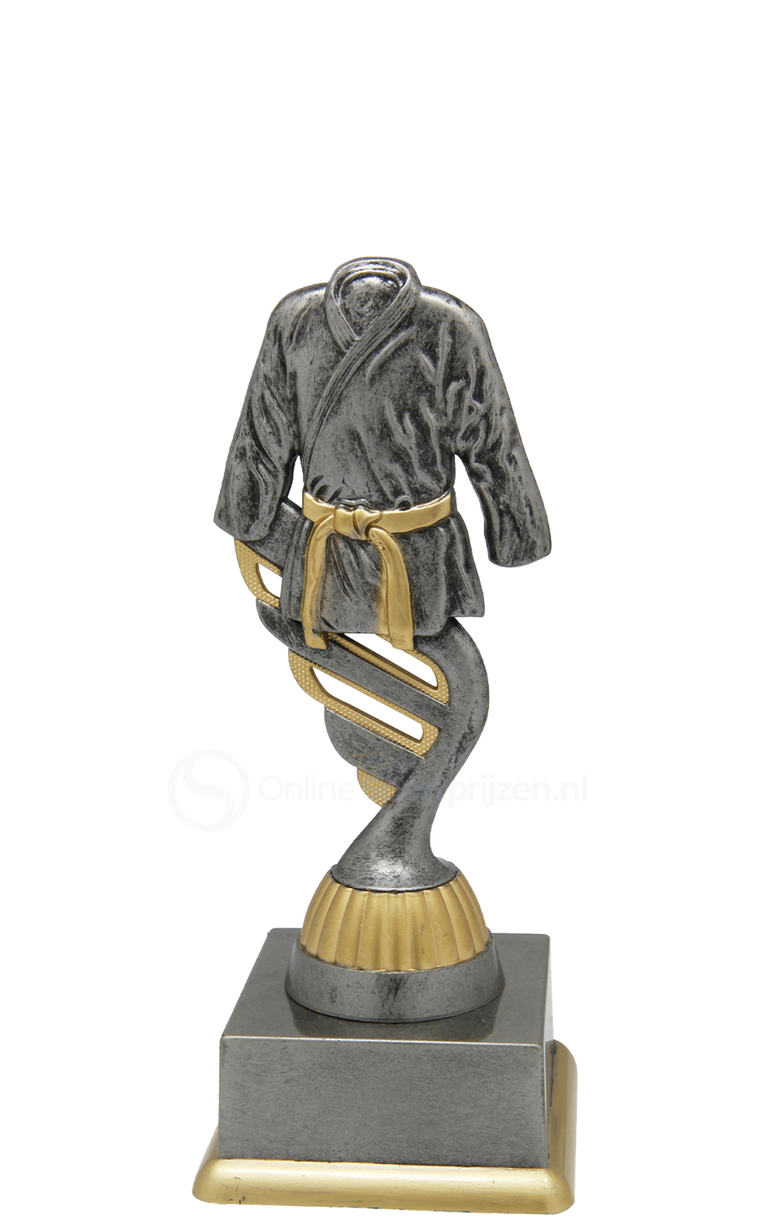 Vechtsporttrofee - SS1730 - Antiek Zilver / Goud