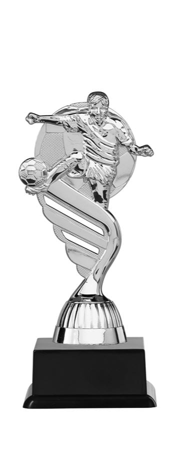 Voetbal Prijs - P404.02 - Zilver