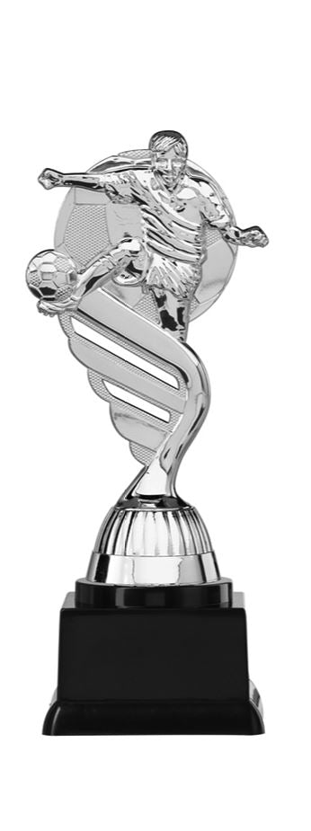 Voetbal Prijs - P404.02 - Zilver