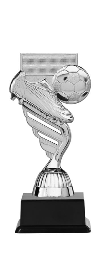 Voetbal Prijs - P405.02 - Zilver