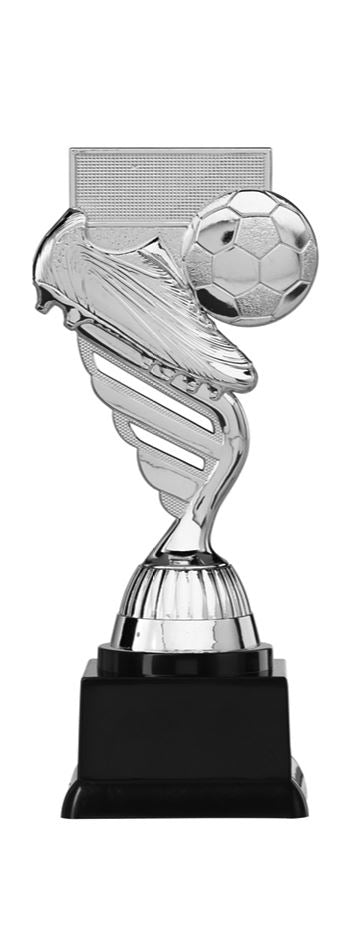 Voetbal Prijs - P405.02 - Zilver