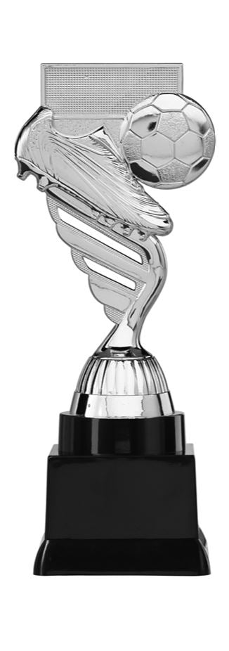 Voetbal Prijs - P405.02 - Zilver