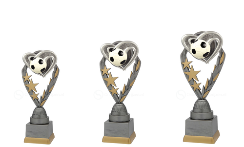 Voetbaltrofee - PFS.003 - Antiek Zilver met Kleuraccent
