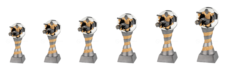 Voetbaltrofee Amsterdam FG199-FG204 - Antiek Zilver / Goud