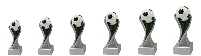 Voetbaltrofee Rotterdam - FG4011-FG4016 - Zilver met Kleuraccent