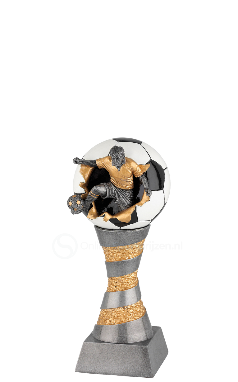 Voetbaltrofee Amsterdam FG199-FG204 - Antiek Zilver / Goud