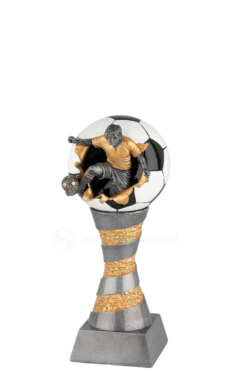 Voetbaltrofee Amsterdam FG199-FG204 - Antiek Zilver / Goud