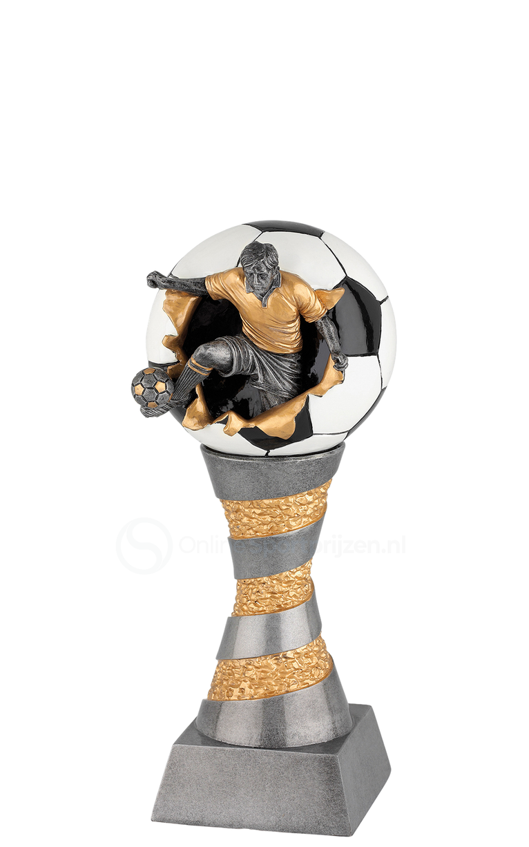 Voetbaltrofee Amsterdam FG199-FG204 - Antiek Zilver / Goud