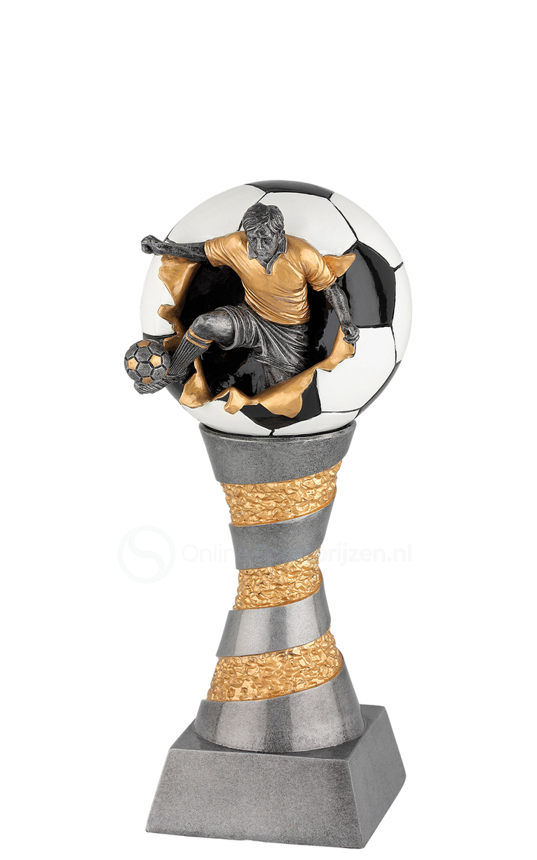 Voetbaltrofee Amsterdam FG199-FG204 - Antiek Zilver / Goud