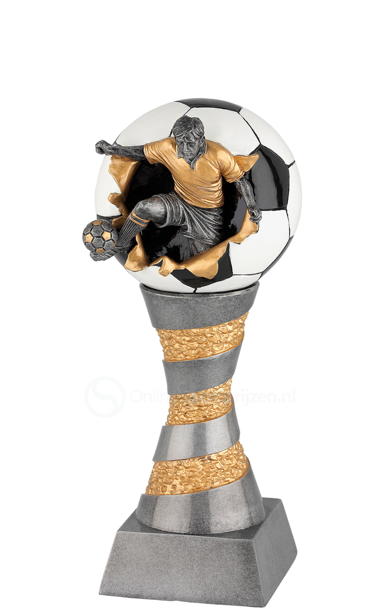 Voetbaltrofee Amsterdam FG199-FG204 - Antiek Zilver / Goud