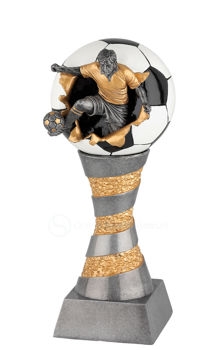 Voetbaltrofee Amsterdam FG199-FG204 - Antiek Zilver / Goud