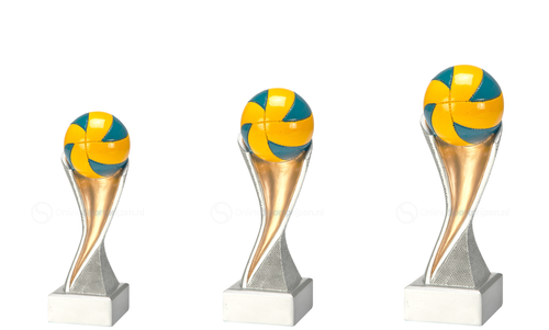 Volleybal Prijs - FG4171-FG4173 - Zilver met Kleuraccent