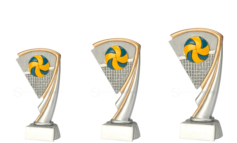 Volleybal Prijs - RE.063 - Antiek Zilver met Kleuraccent