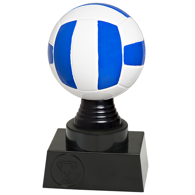 Volleybalprijs - SE1928 - Meerkleurig