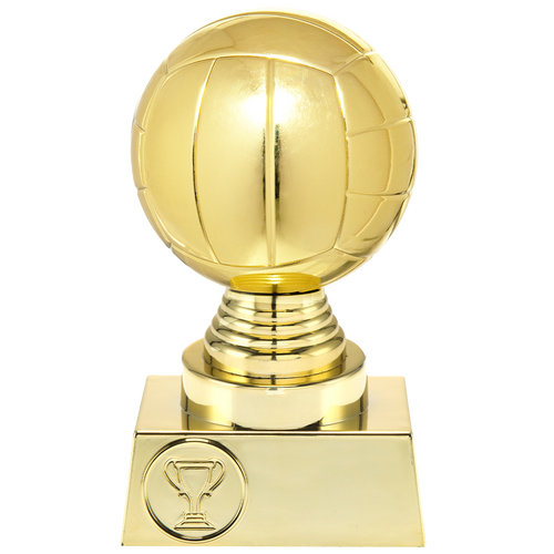 Volleybalprijs - ST.032 - Goud