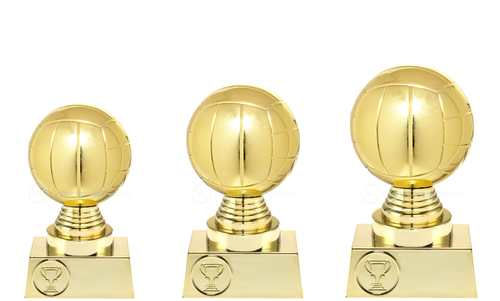 Volleybalprijs - ST.032 - Goud
