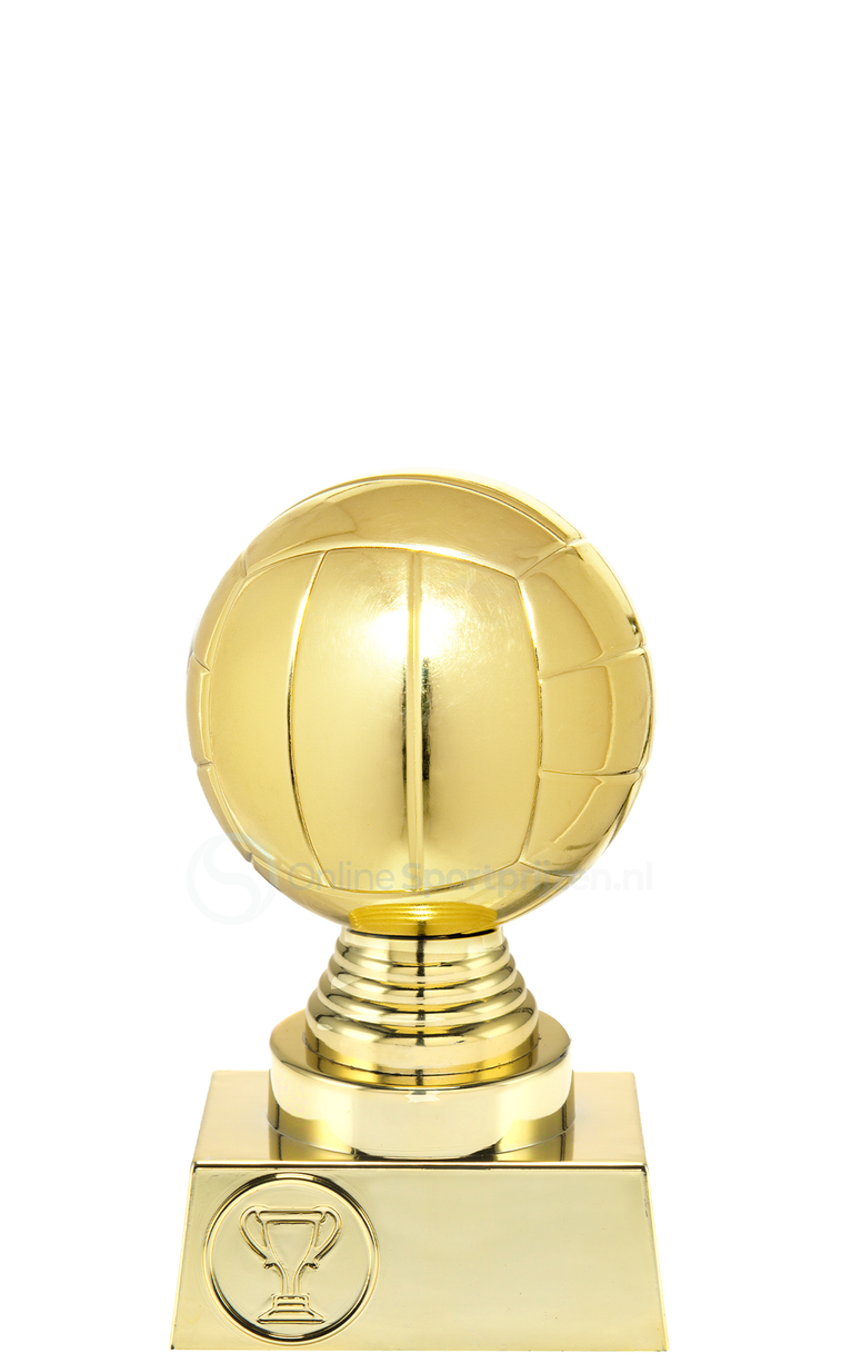 Volleybalprijs - ST.032 - Goud