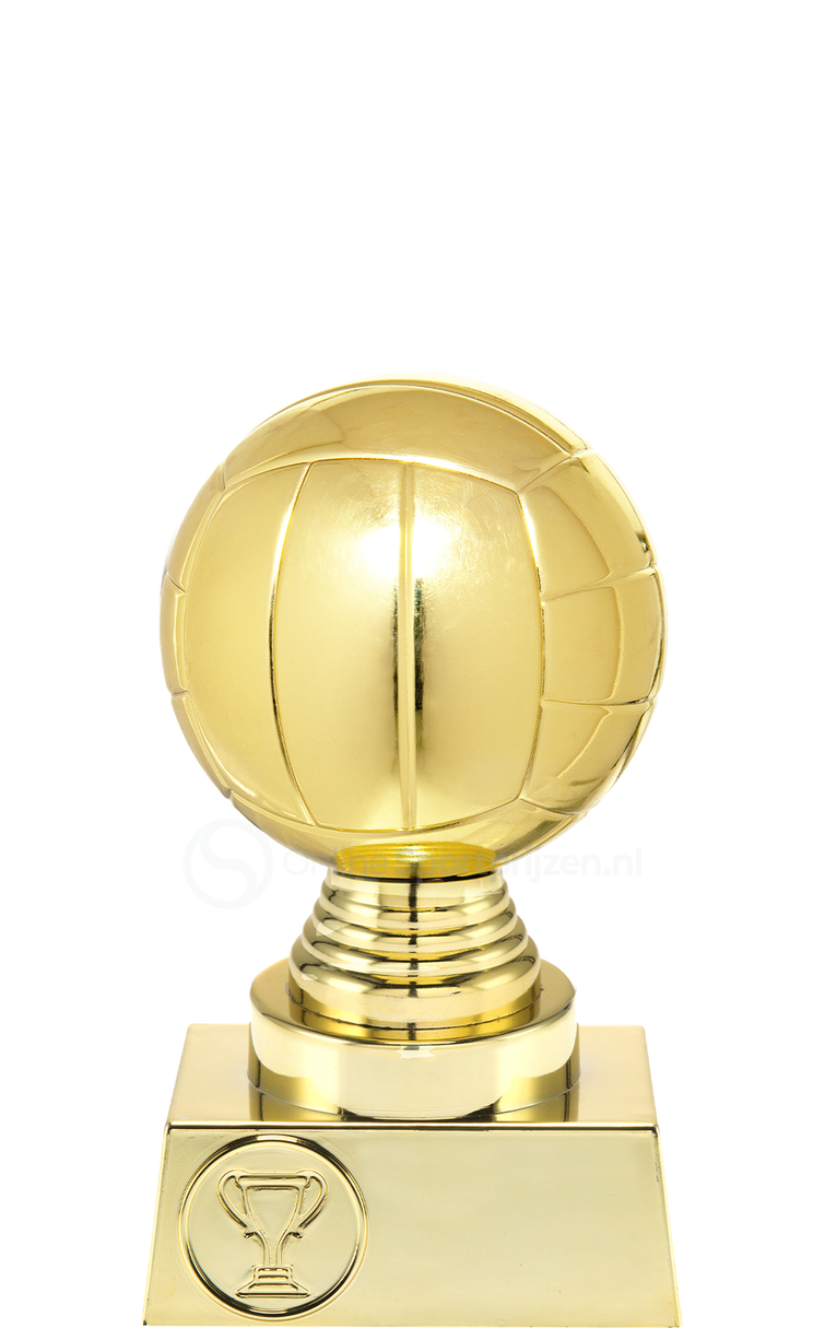 Volleybalprijs - ST.032 - Goud