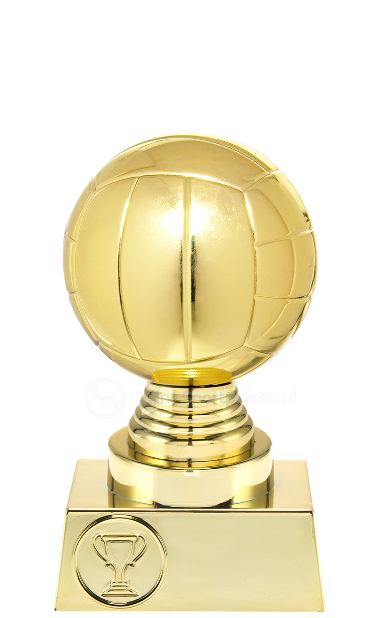 Volleybalprijs - ST.032 - Goud
