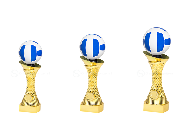 Volleybaltrofee - ST.049 - Goud