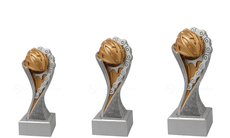 Wielersport Prijs - FG4211-FG4213 - Zilver met Kleuraccent
