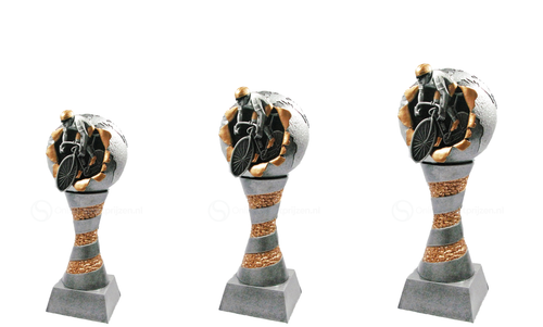 Wielersport Prijs - RE.078 - Antiek Zilver met Kleuraccent