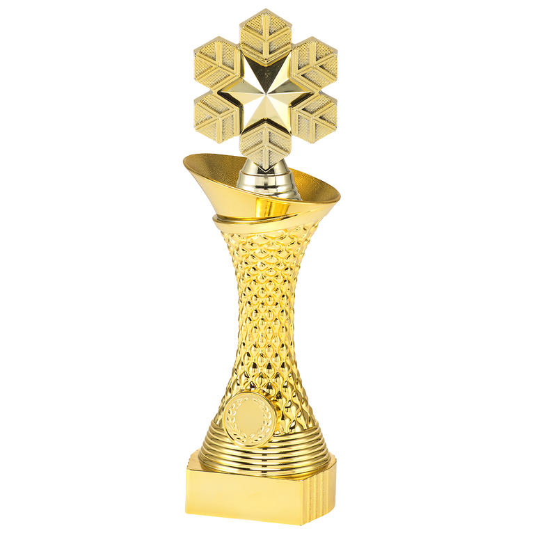 Wintersporttrofee - ST.121 - Goud