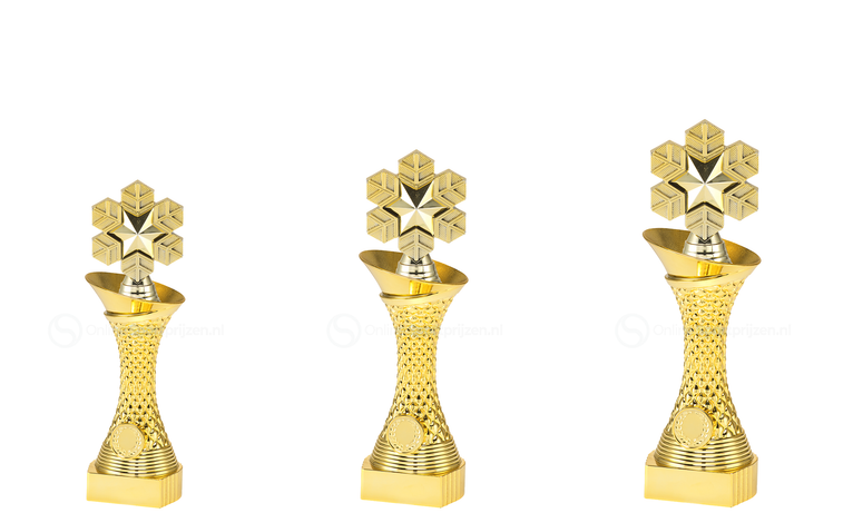 Wintersporttrofee - ST.121 - Goud