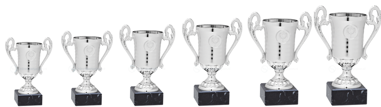 Zilveren Budget Trophy - ET.361 - Zilver