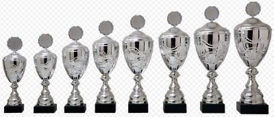 financiën Krachtcel Doodt Grote trofeeën - Online Sportprijzen